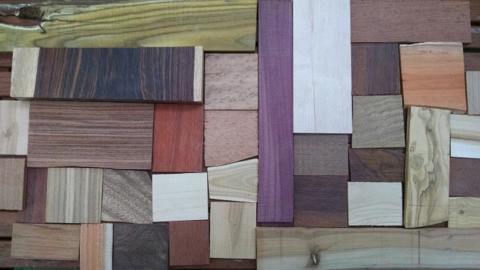 IMG_20141012_165523158